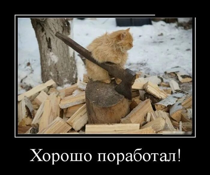 Поработай немножко. Дрова приколы. Стихи про дрова. Дрова картинки прикольные. Дрова юмор.