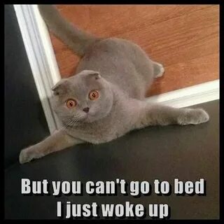 Just woke up now