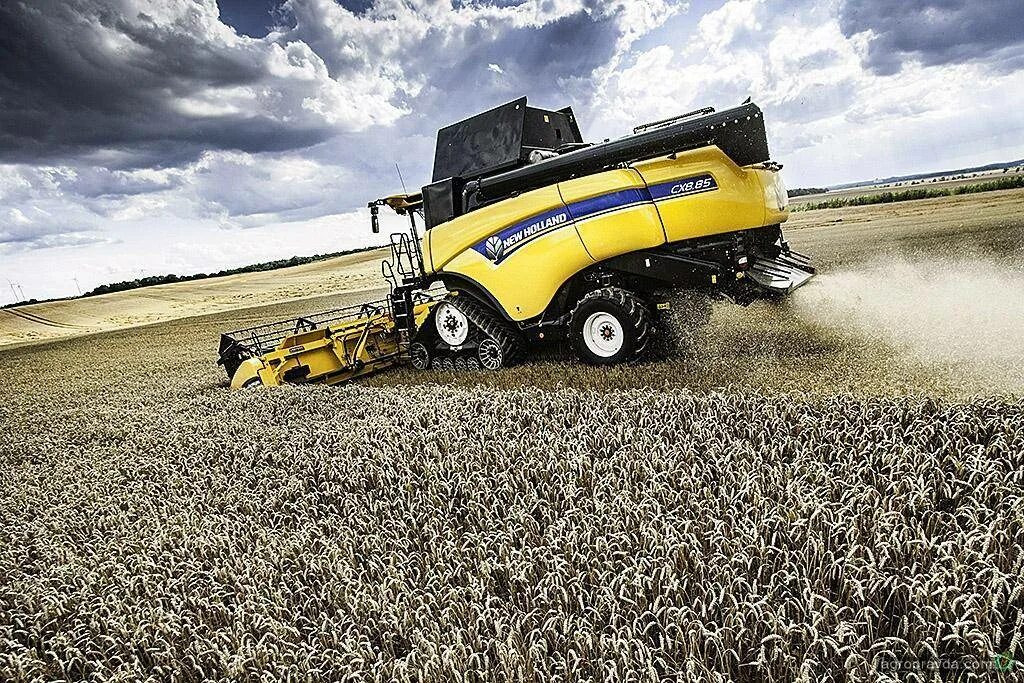 New holland масла. New Holland CX 8.80. Комбайн Нью Холланд. New Holland СХ8.80. Комбайн New Holland CX.