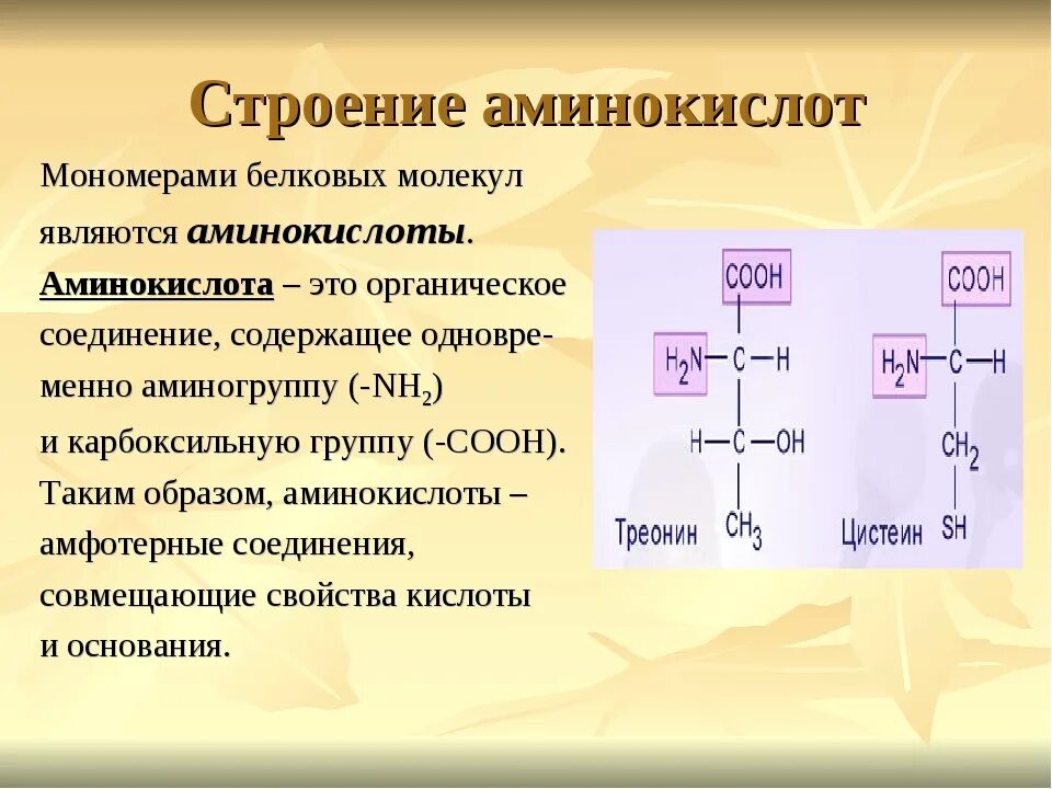 Состав радикалов аминокислот. Структура природных аминокислот. Строение аминокислоты мономеры. Особенности состава аминокислот. Общие особенности строения аминокислот.