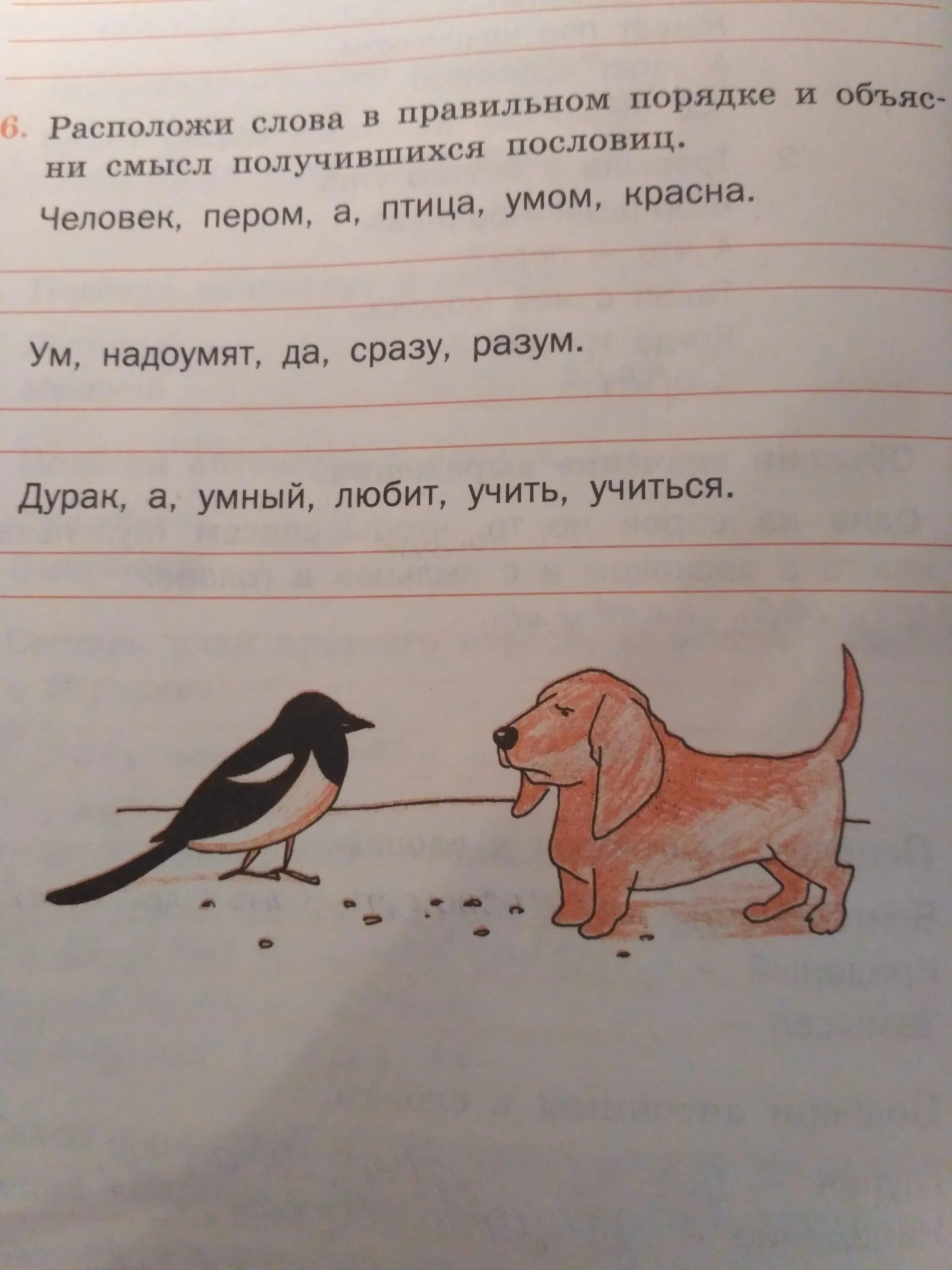 Красна птица пером а человек умом объяснение. Иллюстрация к рассказу выскочка. Рисунок выскочка. Рисовать иллюстрацию к рассказу выскочка. Выскочка пришвин иллюстрация.