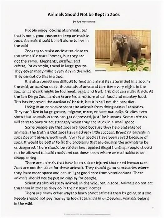 Animal essay. Эссе по английскому keeping animals in Zoos. Эссе Wild animals as Pets. Keeping Wild animals as Pets эссе. Эссе по теме keeping Wild animals as Pets.