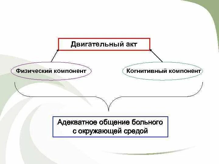 В соответствии со структурой двигательной. В соответствии со структурой двигательной