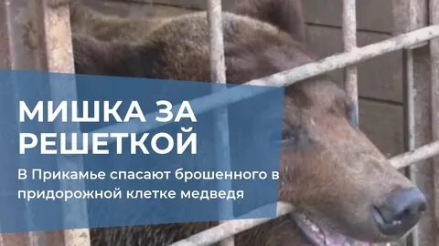 Спасти бросила