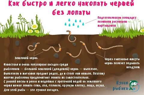 Быстро полезть