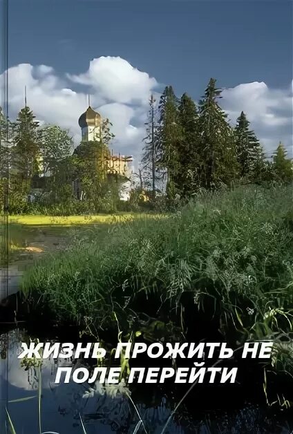 Живому псу лучше чем мертвому льву. Жизнь прожить не. Жизнь не поле перейти. Поле перейти. «не поле перейти» книга.