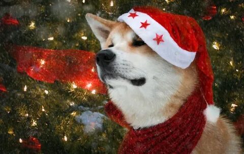 Новогодний лайк