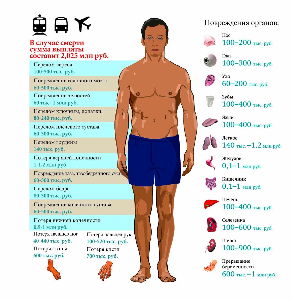 Мужчина 1 категории. Стоимость органов человека в России в рублях. Сколько стоят органы человека. Расценки органов человека. Колько сточт органы человека.