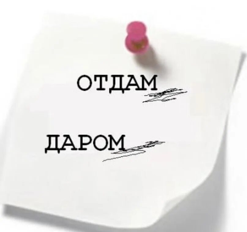 Не продавать а отдавать