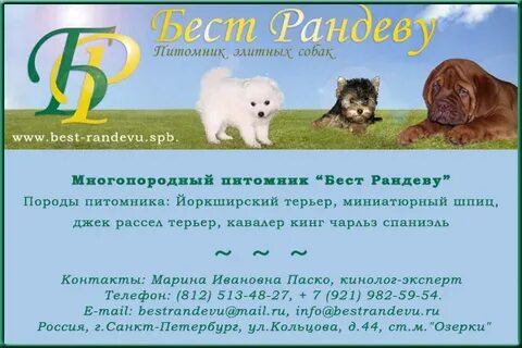 Питомник яны