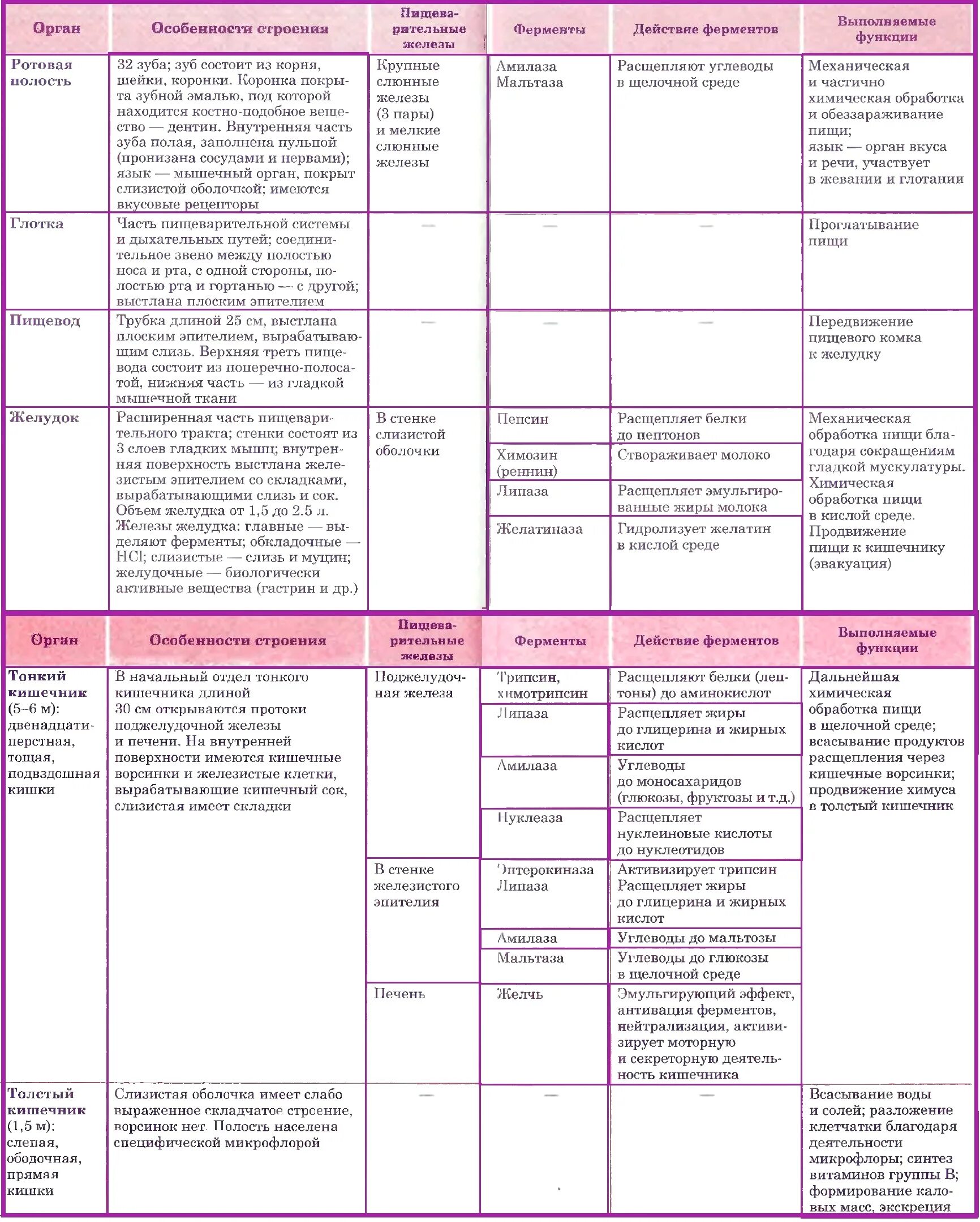 Таблица пищеварения человека. Строение и функции пищеварительной системы таблица. Строение и функции органов пищеварительной системы таблица. Пищеварительная система человека анатомия таблица. Органы пищеварения особенности строения и функции таблица.