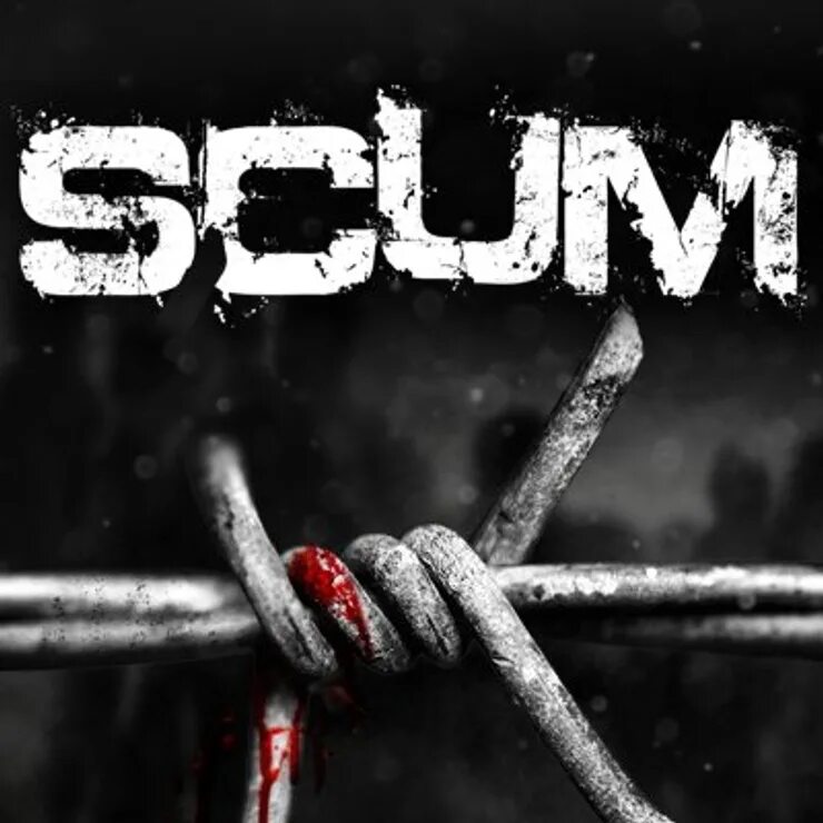 Scum логотип игры. Scam игра. Scum надпись. Ярлык Scum. Игры стыда