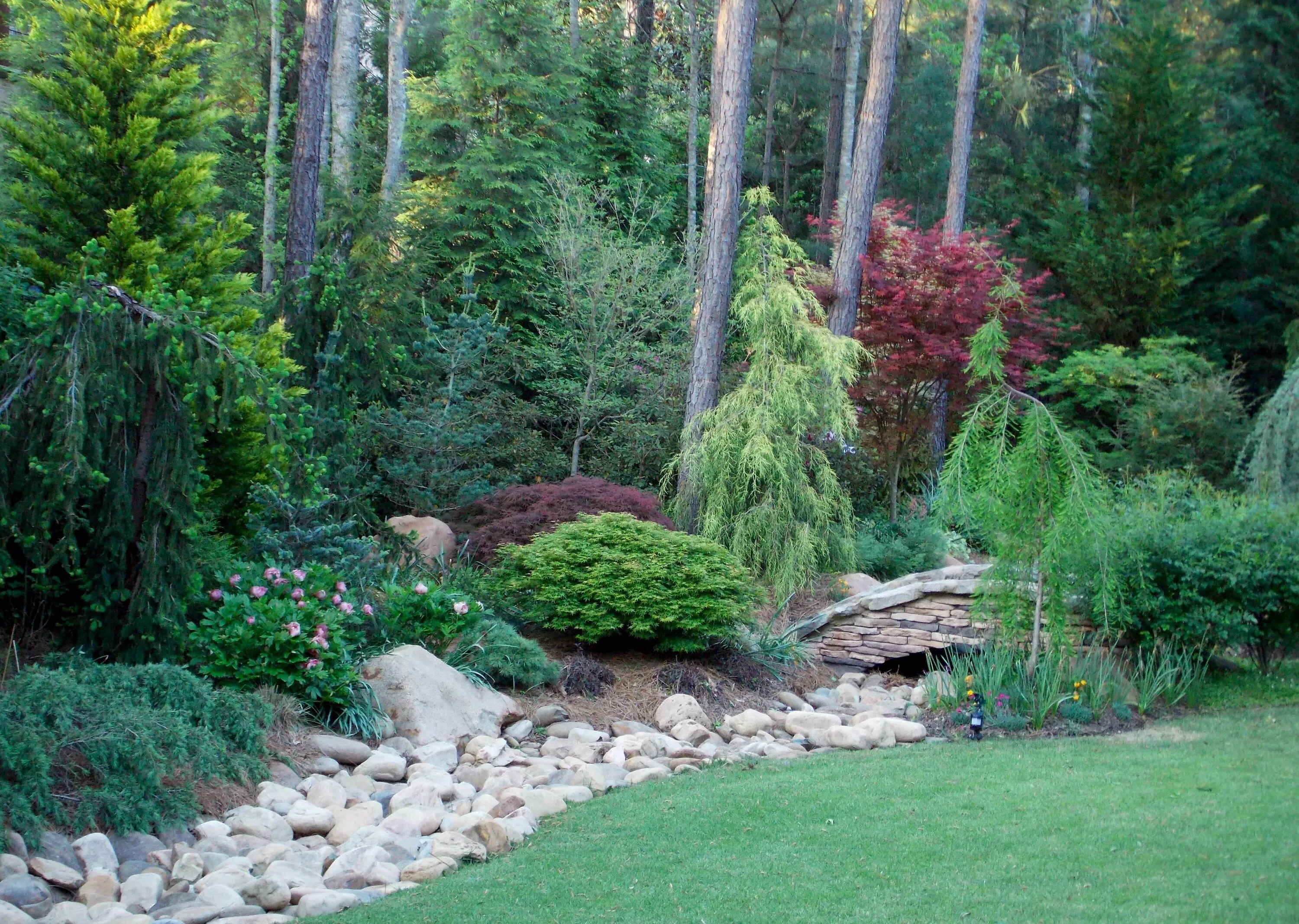 Тайга (хвойные леса) реки сыктывкар. Ели у пруда. Пруд в сосновом бору. Камень в лесу. Ели у пруда.