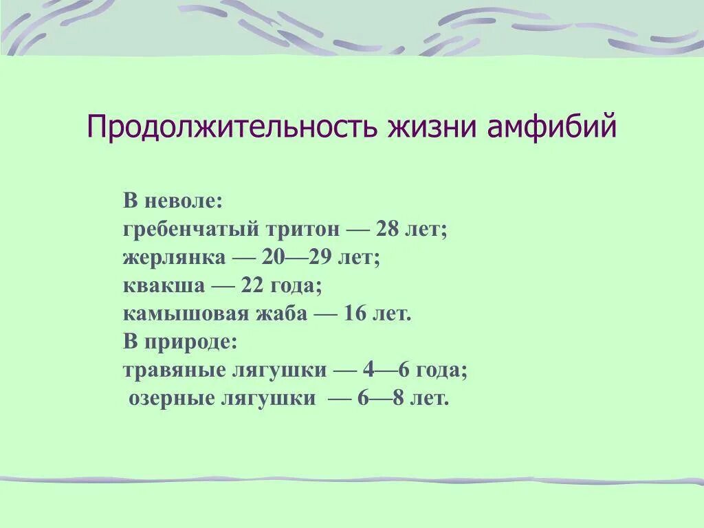 Продолжительность жизни зверей. Продолжительность жизни земноводных. Продолжительность жизни лягушки. Средняя Продолжительность жизни животных. Сколько живут.