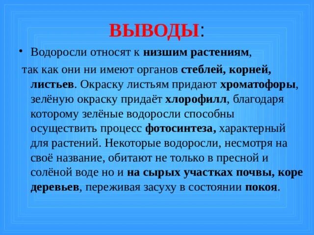 Водоросли относятся к растениям так как