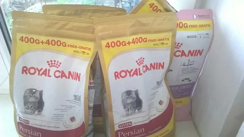 Роял Канин 400+160. Коробка Роял Канин 24 шт. Корм Royal Canin для длинношерстных кошек (1-7 лет). Миска ру корм для кошек Роял Канин.