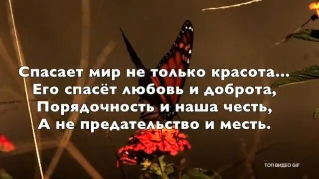 Не смог спасти любимую
