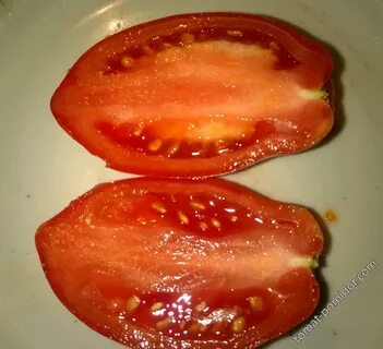 Минусинские томаты бычье сердце отзывы