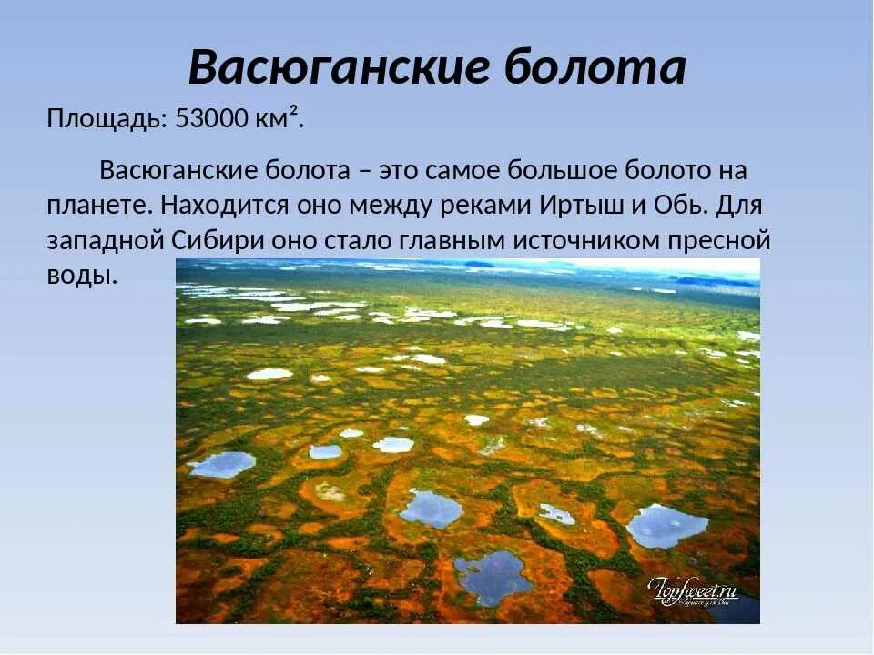 Возникновение болота. Большое Васюганское болото на карте России. Карта Сибири Васюганское болото. Болото Васюганье на карте России. Васюганские болота заповедник на карте России.