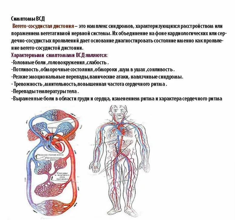 Всд 6. Вегетативно сосудистая дистония симптомы. Характерный признак вегетативной дистонии. Вегетососудистая дистония клиника симптомы. Вегетативный тонуса в сердечно сосудистой системе это.