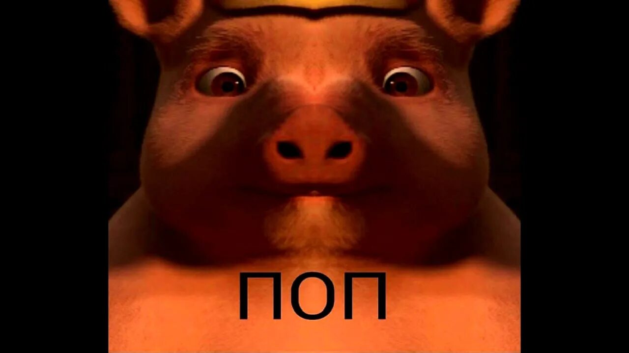 Номера кек. Семейство кека. кек фото. кек прикол. кек все виды.