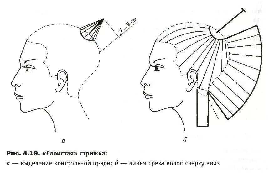 Стрижка техника выполнения стрижки. Схема стрижки Каскад радиальными проборами. Техника стрижки рапсодия. Технология стрижки рапсодия схема. Схема стрижки маллет.