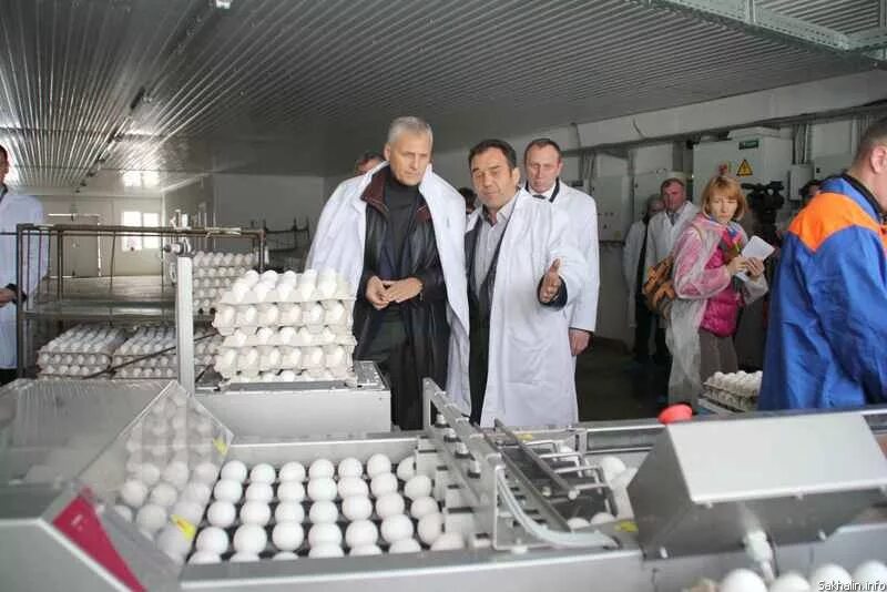 Управляющий птицефабрики