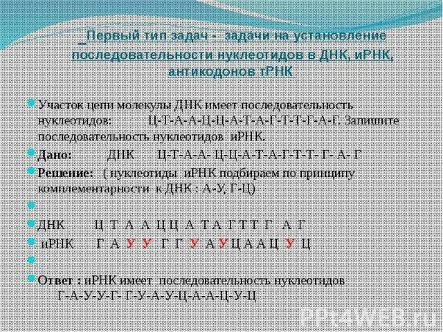 Фрагмент цепи днк имеет последовательность атааггатгццтттт. МРНК последовательность нуклеотидов. Последовательность нуклеотидов ИРНК. Последовательность нуклеотидов в молекуле ДНК. Последовательность нуклеотидов в цепи ДНК.