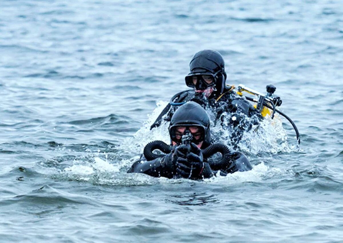 Морские диверсанты. Спецназ пдсс вмф россии. Пдсс тихоокеанского флота. Спецназ пдсс вмф. Спецназ пдсс вмф россии.