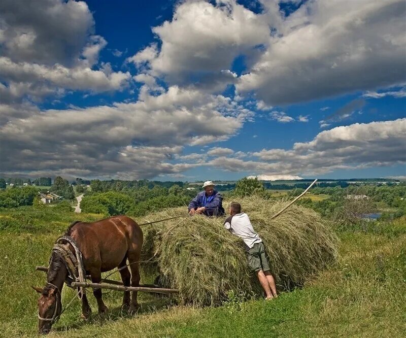 Покажи жизнь в деревне. Русская деревня сенокос. Сенокос деревня природа. Лето в деревне. Красивые пейзажи деревни.