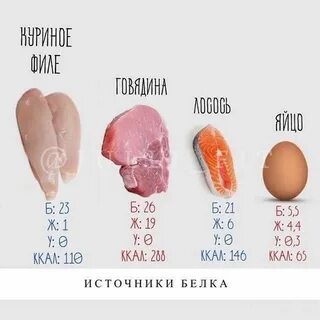 Белок источники белка