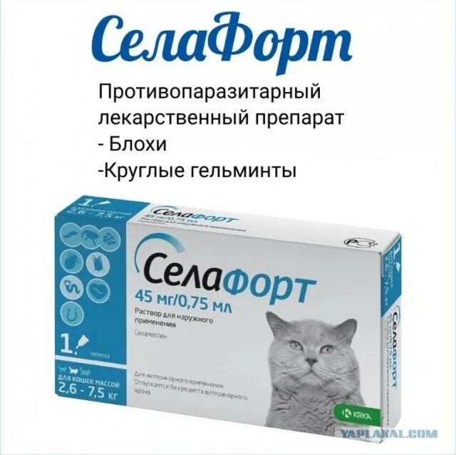 Селафорт для кошек 5 кг. Селафорт 15мг/0,25мл для котят/щенков до 2,5кг. Селафорт для кошек. Капли селафорт для кошек. Селафорт до 2.5 кг.