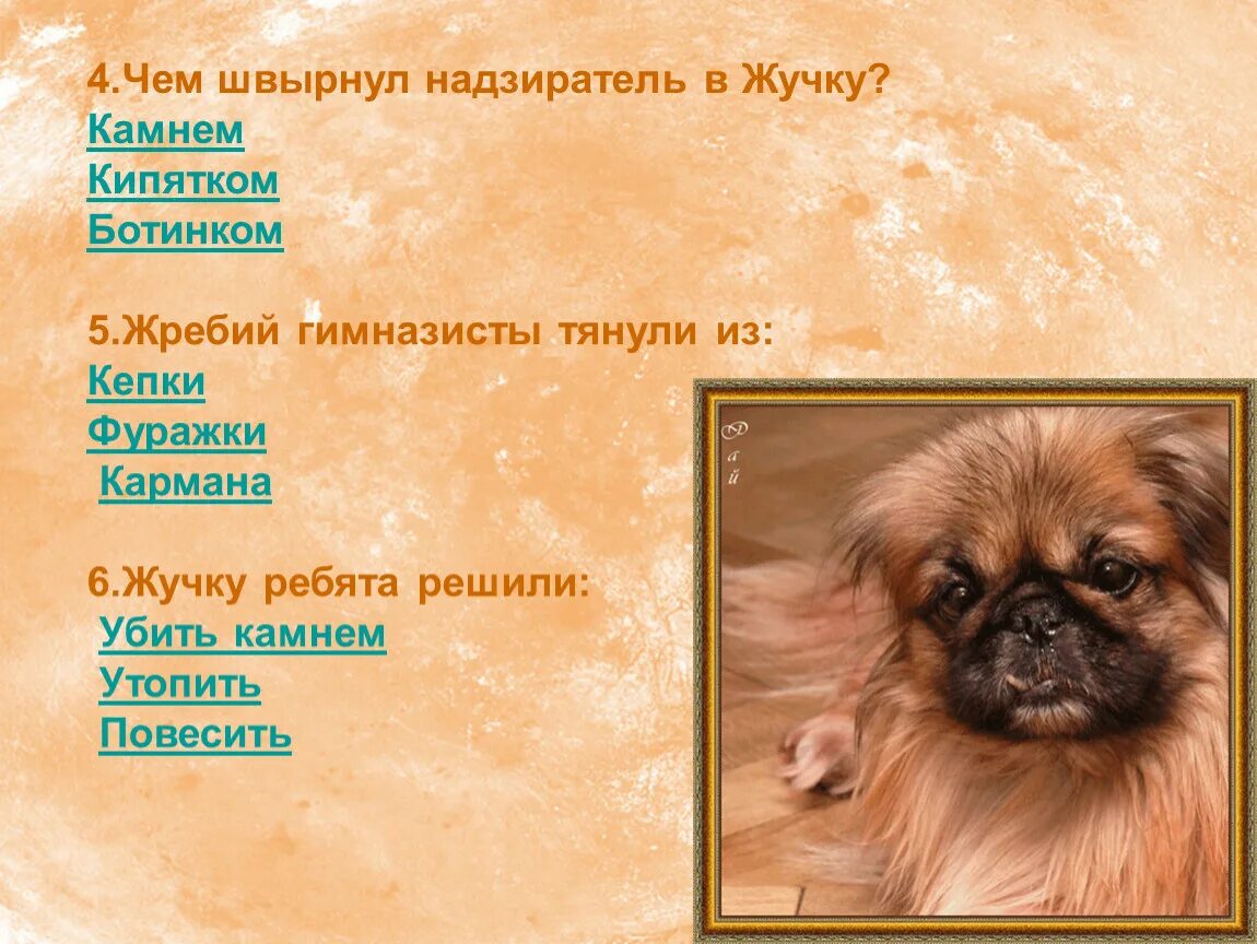 Дуров наша жучка. В Л Дуров наша жучка. В Л Дуров наша жучка 3 класс. Литературное чтение жучка. Рассказ дурова наша жучка