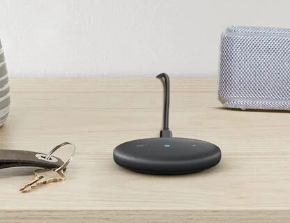 Input echo