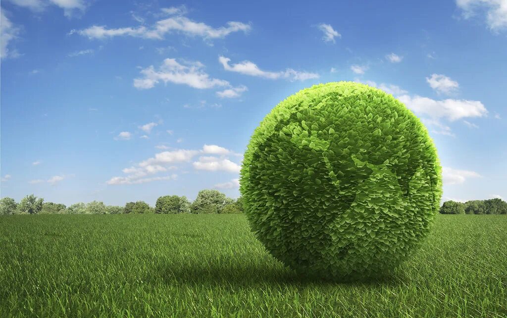 Земля из травы картинка. Земля покрывало и деревья. Шторы 3д березовая роща. Зимнее поле. Мох рок грин.