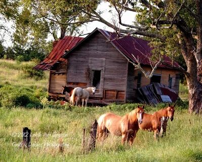 Farm live