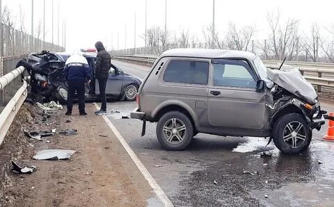 Нивы липецкая область