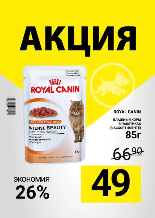Корм акции. Акция на корма. акции 4 лапы. акции на корм в магазинах. акция на корма для кошек.