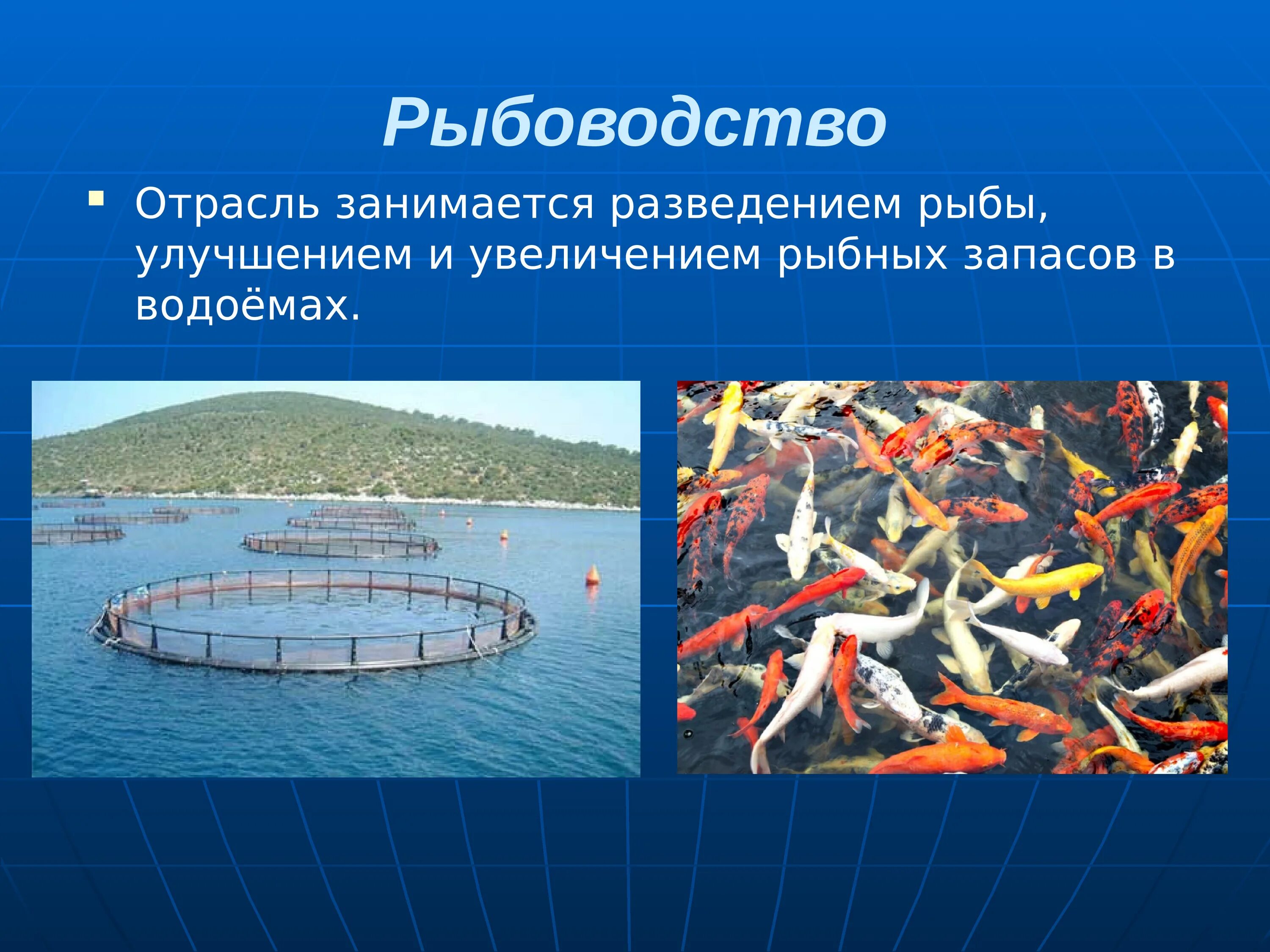 Рыбная промышленность является отраслью специализации. Рыбоводство. Рыбоводство отрасль животноводства. Рыбоводство презентация. Рыбоводство проект.
