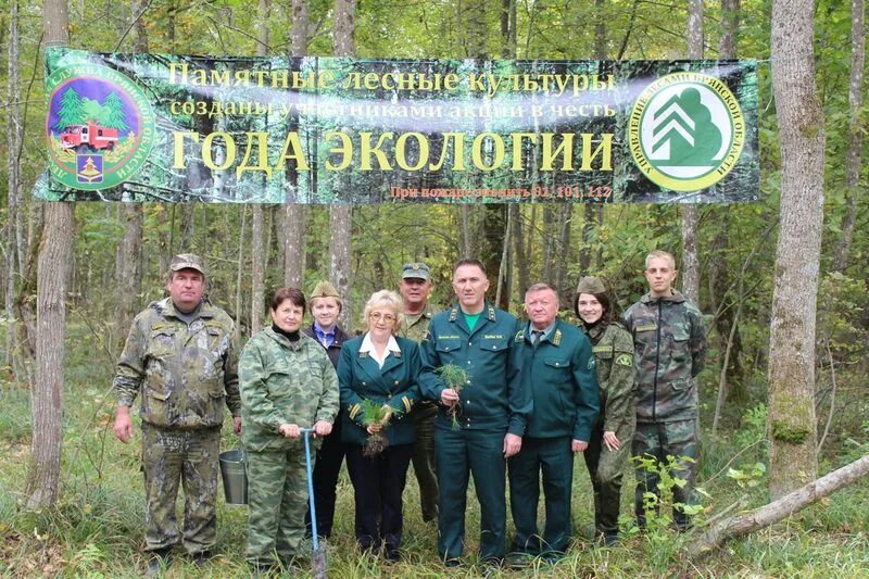 Федеральное лесное хозяйство сайт. Лесное хозяйство Балаково. Здание управление лесного хозяйства. Лесное хозяйство Воскресенск. Учебно-Опытное лесничество Брянской области.