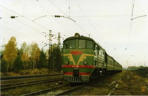 Электрички новки ковров