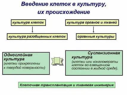Внедрение клетки