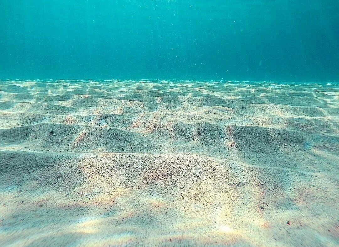 5 морских океанов. Морское дно. Дно океана. Песчаное дно океана. Море под водой.