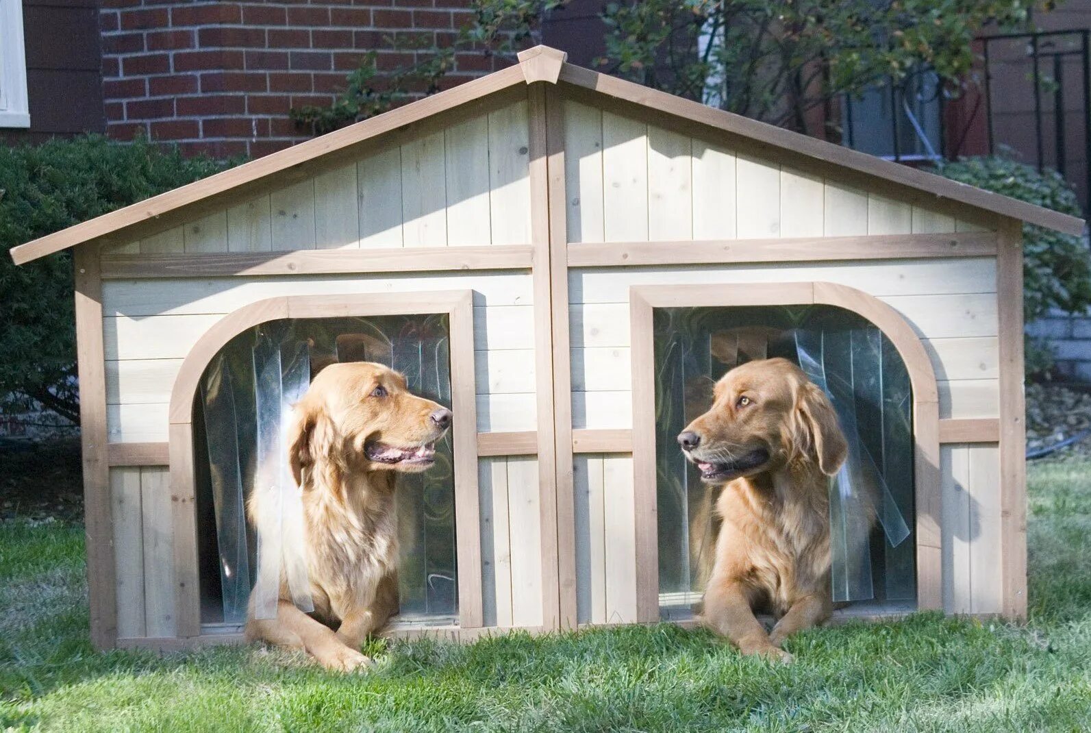 Играть в dog house dogs house net. Конура для 2 собак. Собачья конура будка. Необычные собачьи будки. Домик для крупной собаки.