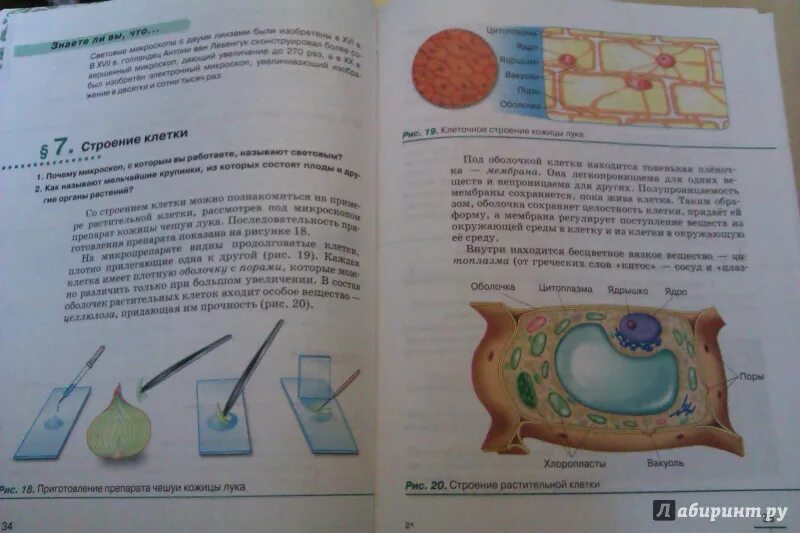 Биология 5 класс учебник стр 143