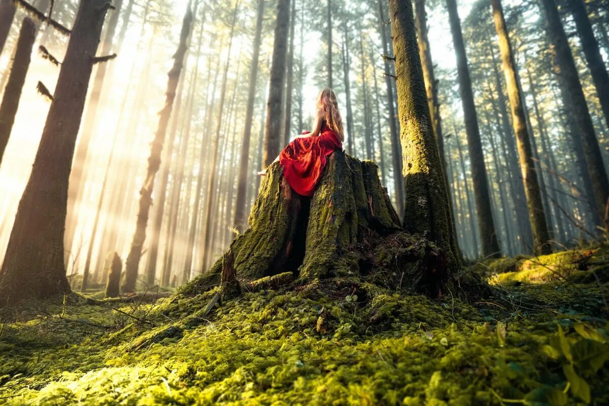 Лесиан. Элизабет Гэдд. Лиззи Гадд. Фотосессия в лесу. Девушка в лесу.
