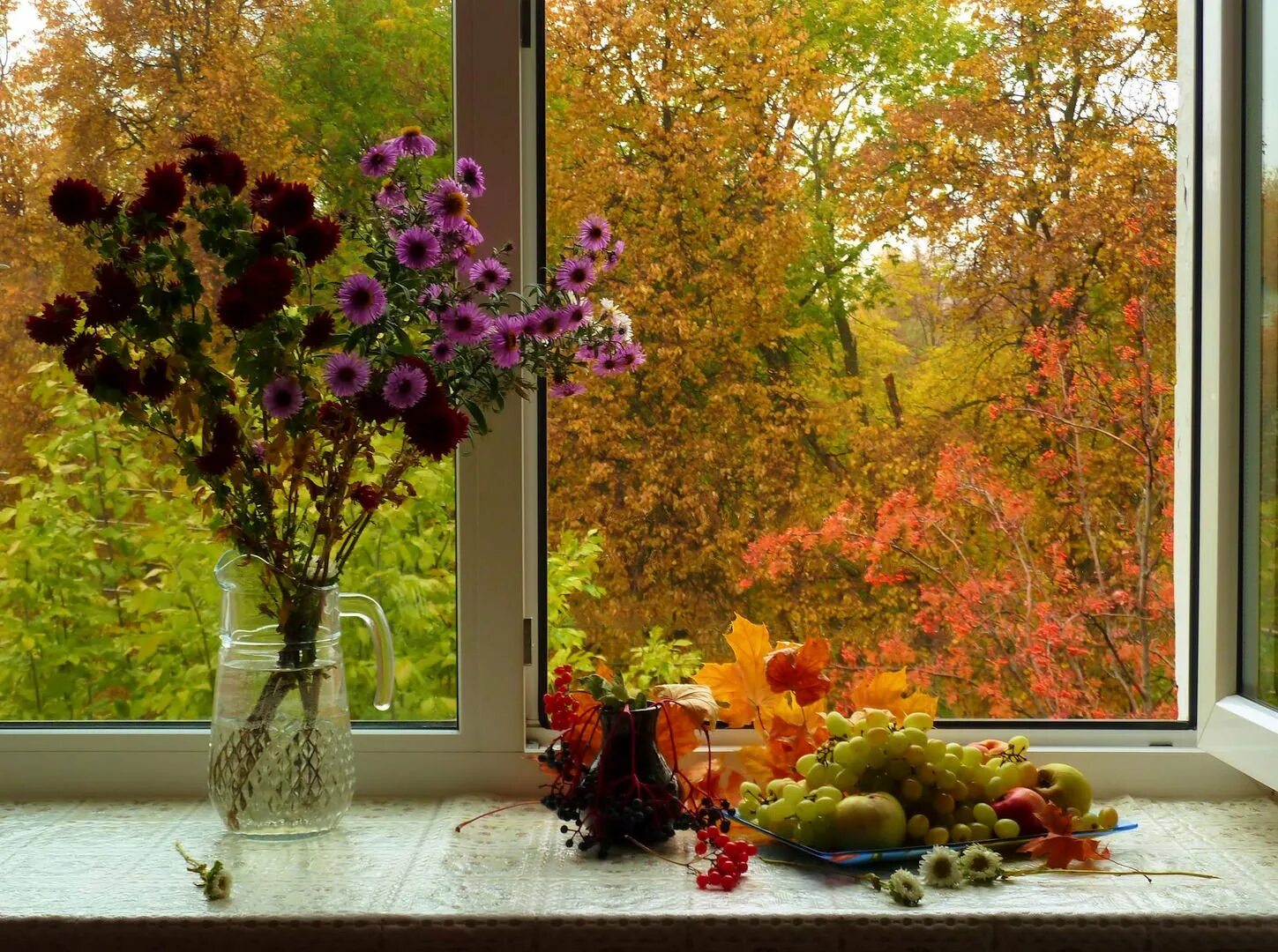 Картинка осень красивая утра. Окно осень. Осеннее утро. Осень из окна. Осенние цветы на окне.