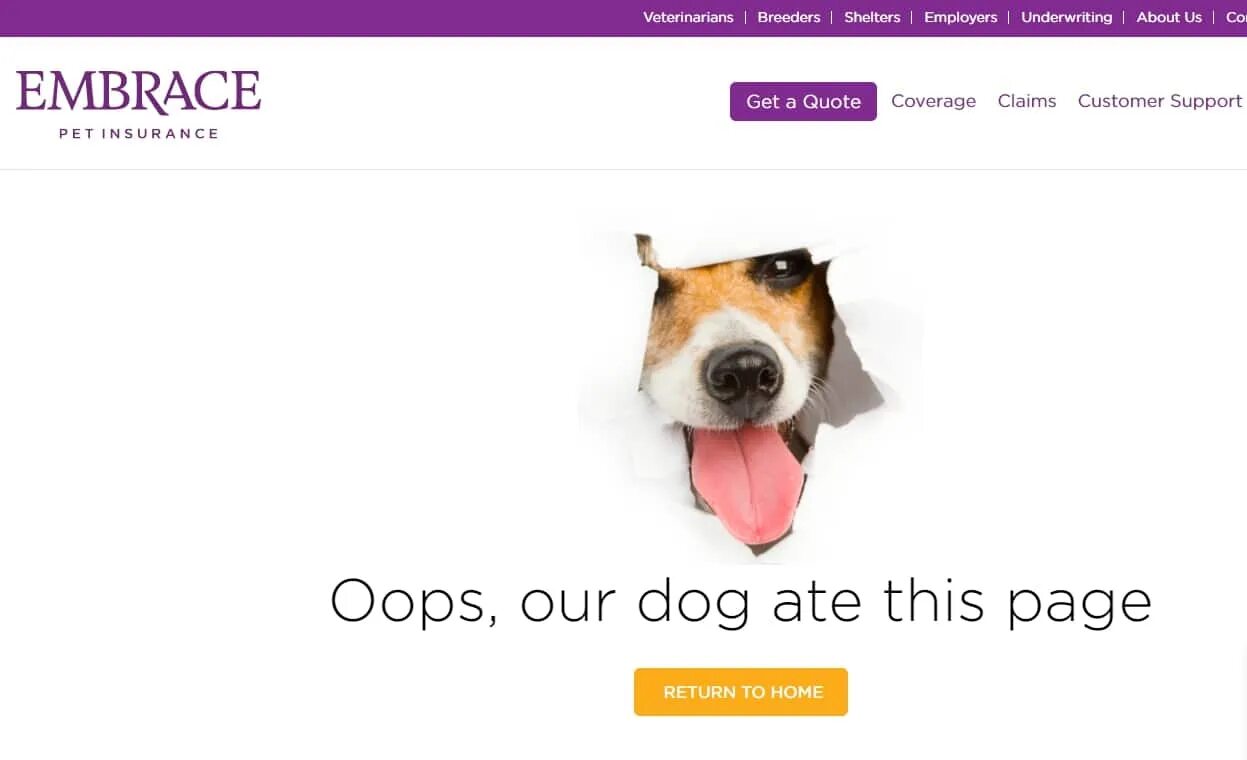 Собака 404. Страница 404 для зоогостиницы. Error 404 Dogs. Картинка 404 собака. Dogs eat перевод на русский