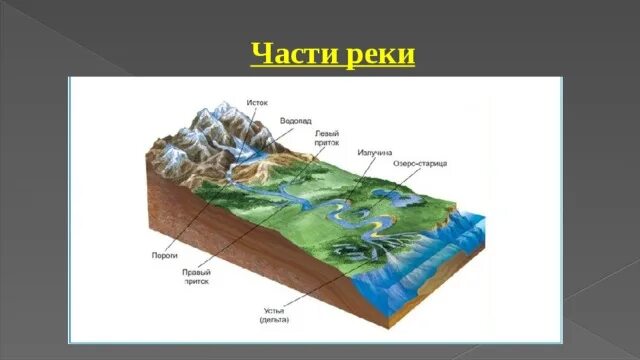 Части реки схема. Подпиши на схеме части реки. Название частей реки. Картинка Подпиши части реки. 12 части рек