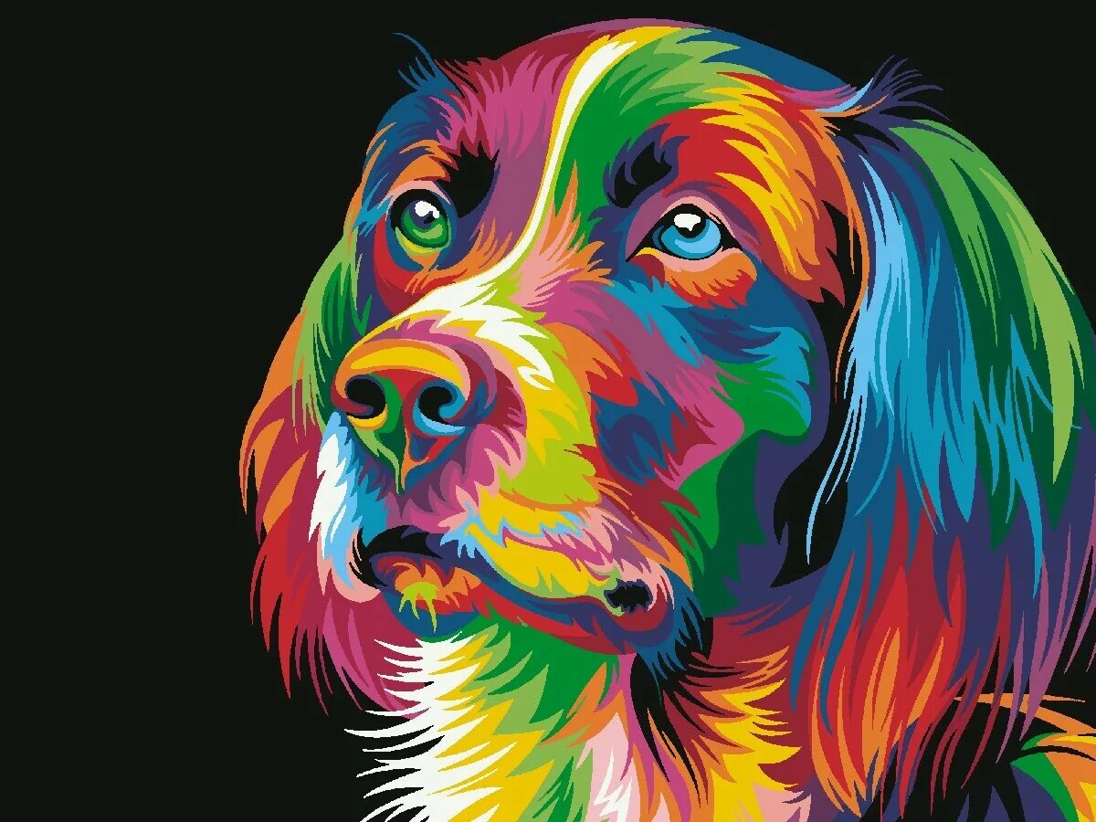 Красочные рисунки. Артвентура картина по номерам "королевский радужный лев" 50x40 см. Радужный лев mg2034. Дудлинг. Разноцветный фон.